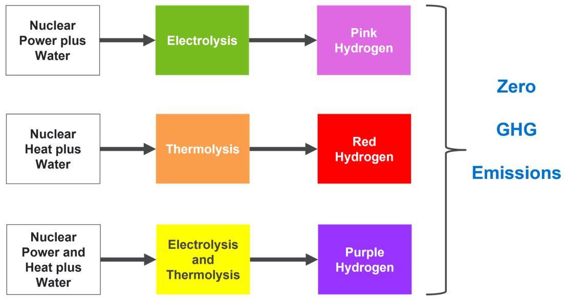 Decarbonization pathways via pink, red, and purple hydrogen NexantECA
